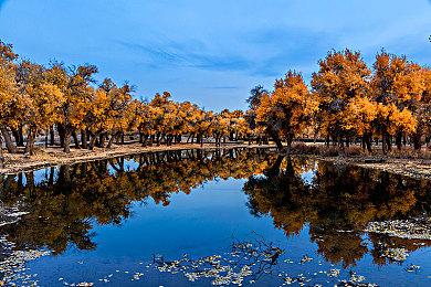 任天堂Switch 2主机更容易买到 首年产量将超1000万